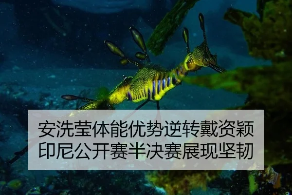 an-xi-ying-ti-neng-you-shi-ni-zhuan-dai-zi-ying-yin-ni-gong-kai-sai-ban-jue-sai-zhan-xian-jian-ren-2-624.jpg