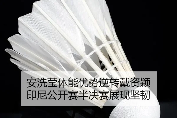 an-xi-ying-ti-neng-you-shi-ni-zhuan-dai-zi-ying-yin-ni-gong-kai-sai-ban-jue-sai-zhan-xian-jian-ren-3-282.jpg